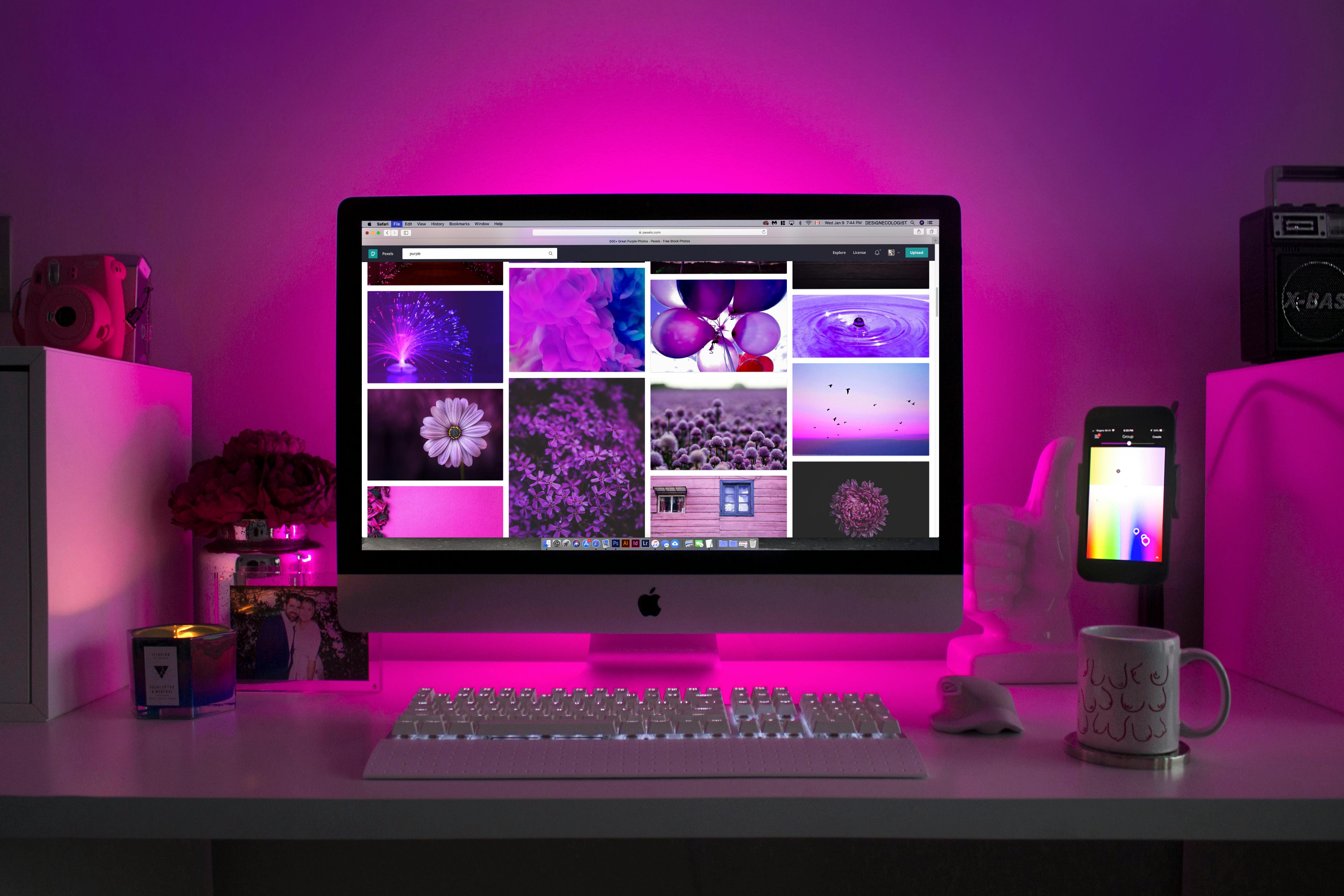 Web Designer
